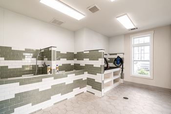 Pet shower area